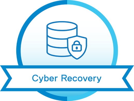 <strong>Dell Cyber Recovery Manager</strong>