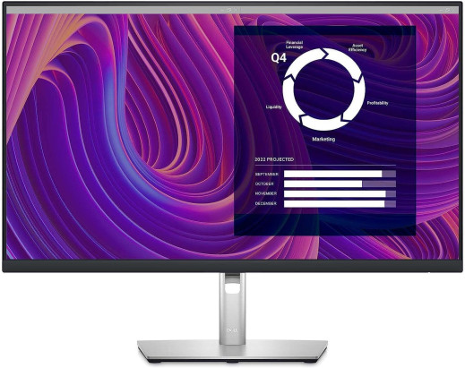 <strong>Dell LCD P Series (Professional Series)</strong>