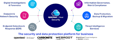 <strong>OpenText Security</strong>